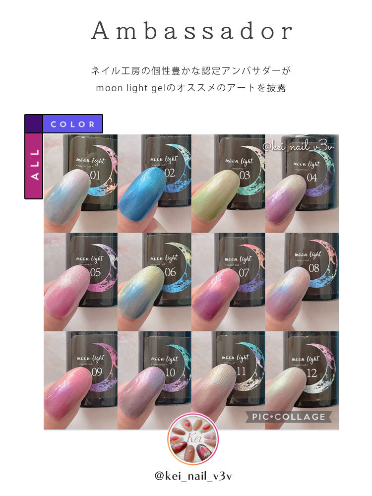 全12色セット】or【新色4本セット】マグネットネイル 偏光マグネット