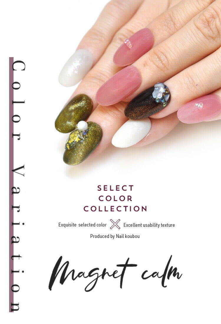 全6色セット】大人の マグネットネイル マグネット ダークカラー