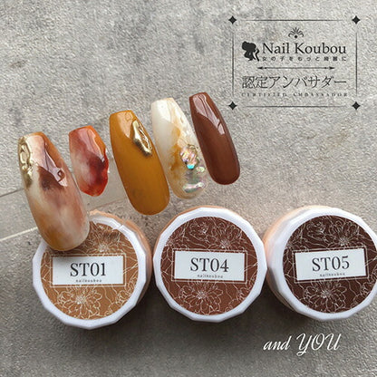 Select color STシリーズ TerraCotta シアー テラコッタ ブラウン  えんじ カラージェル ジェルネイル セレクトカラージェル | カラー ポリッシュ ネイルジェル アートジェル ジェルネイル用品 爪 カラージェルネイル ジェルネイルアート ネイル工房 にわちゃん